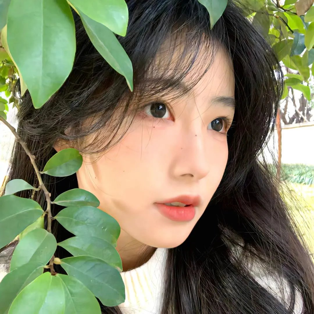 铁拳黑雾